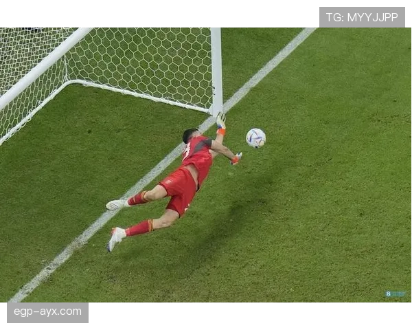 马丁内斯盛赞国家队无私奉献铸就辉煌，稳定表现引关注